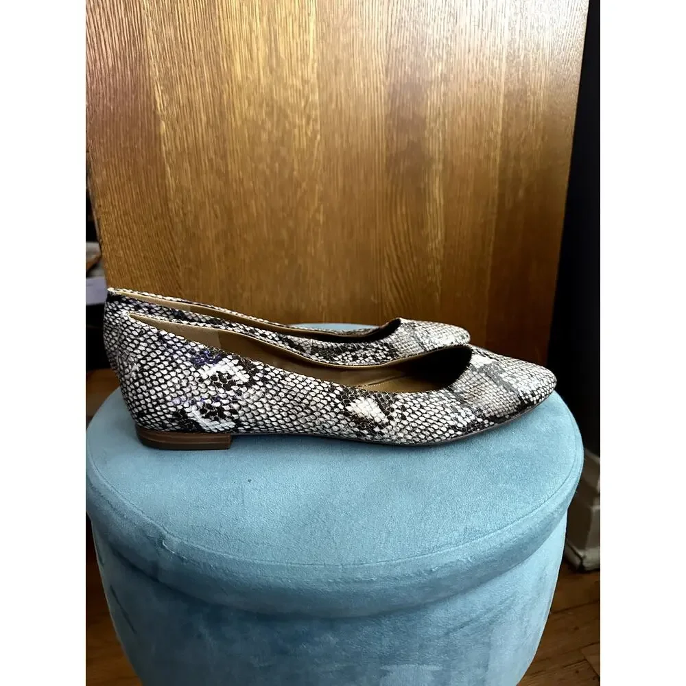 14 & Union Women's Animal Print Pointed Toe Flats | Size 11